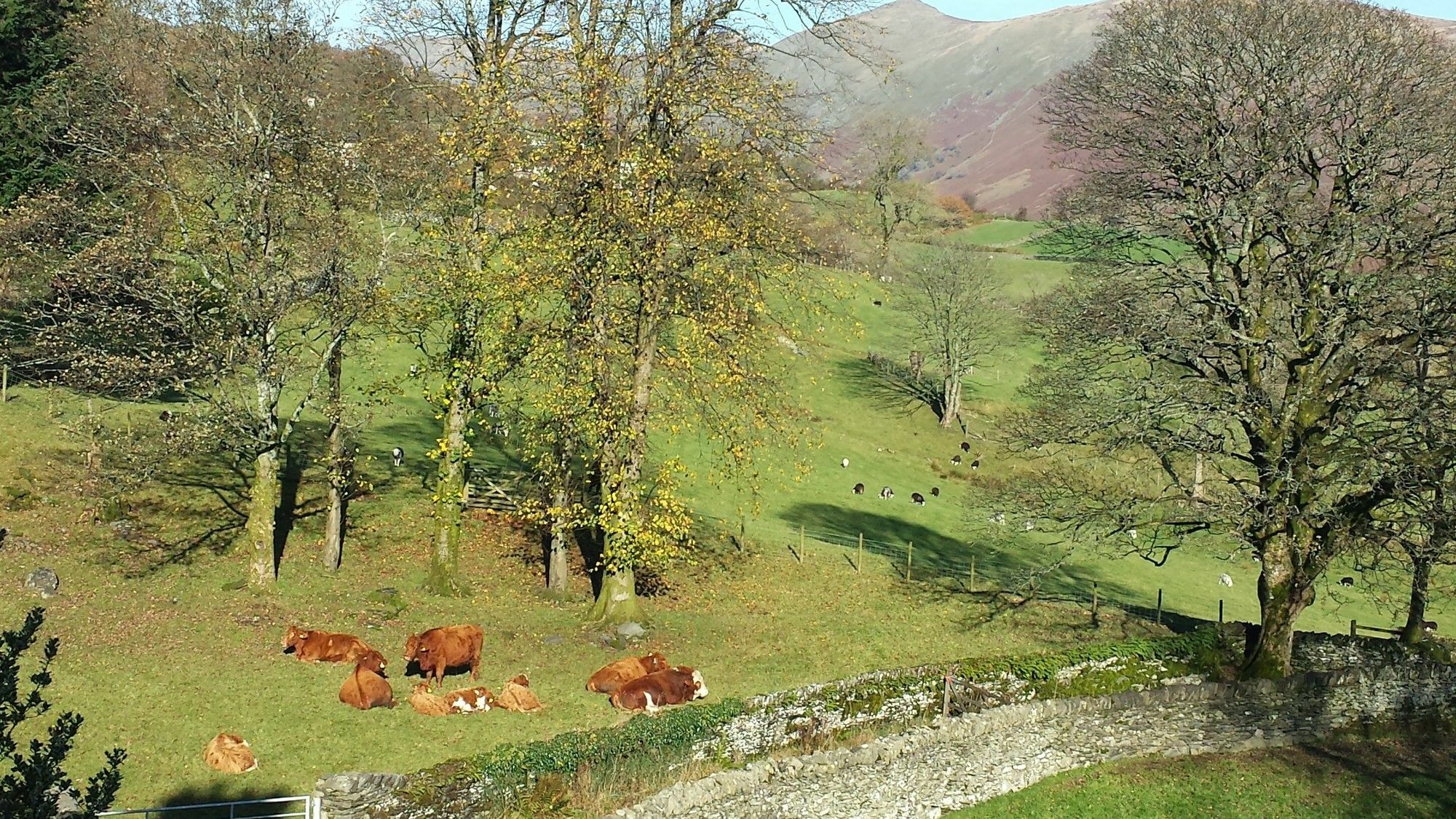 High Fold Guest House Troutbeck  Kültér fotó