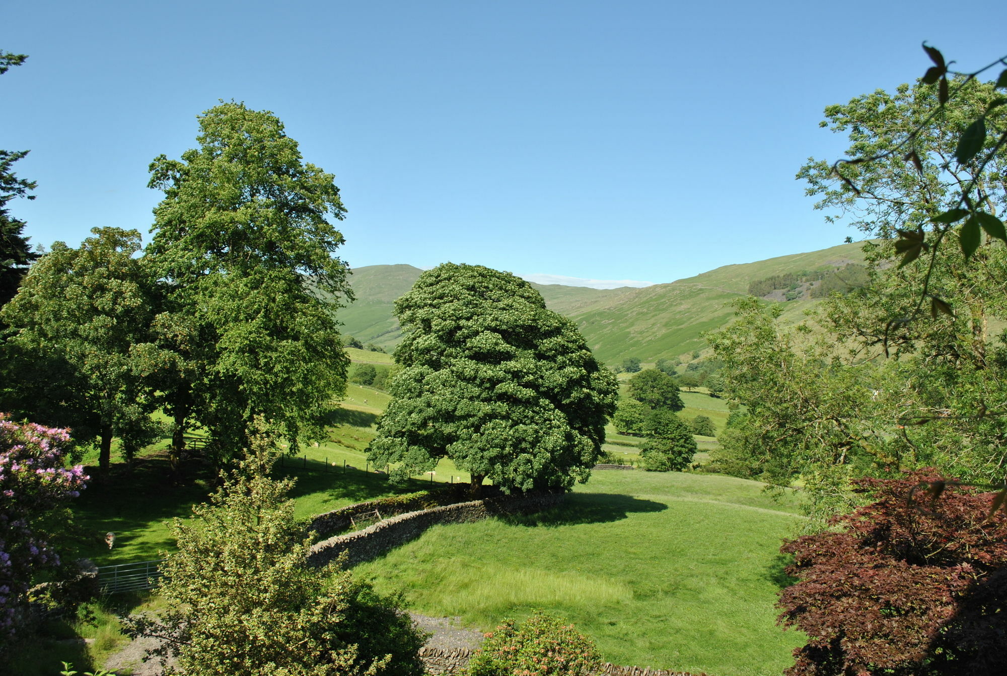 High Fold Guest House Troutbeck  Kültér fotó